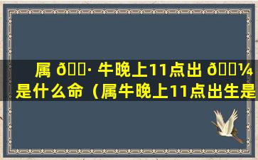 属 🕷 牛晚上11点出 🐼 生是什么命（属牛晚上11点出生是什么命格）